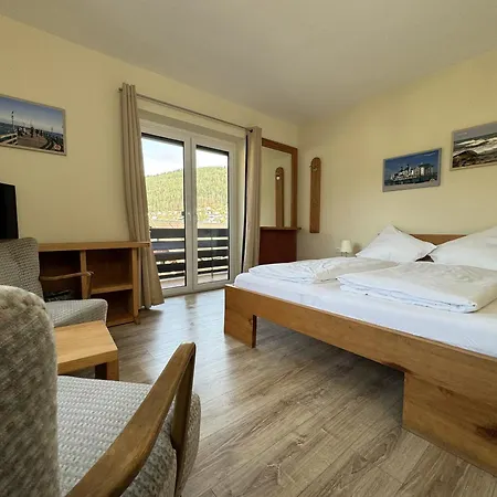 Aparthotel Schwarzwald Panorama Bad Wildbad Room photo