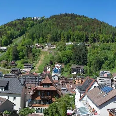 Aparthotel Schwarzwald Panorama Bad Wildbad Room photo