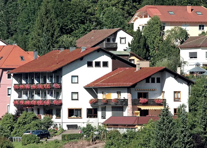 Aparthotel Schwarzwald Panorama