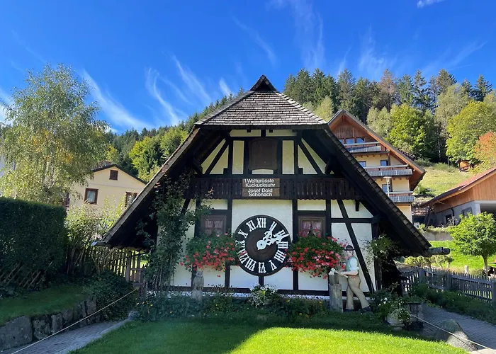 Aparthotel Schwarzwald Panorama