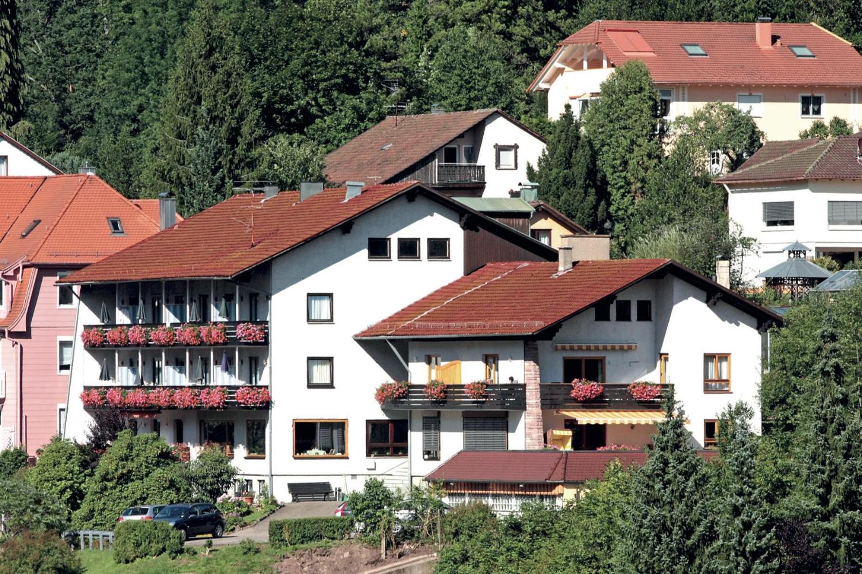 Schwarzwald Panorama Apartment