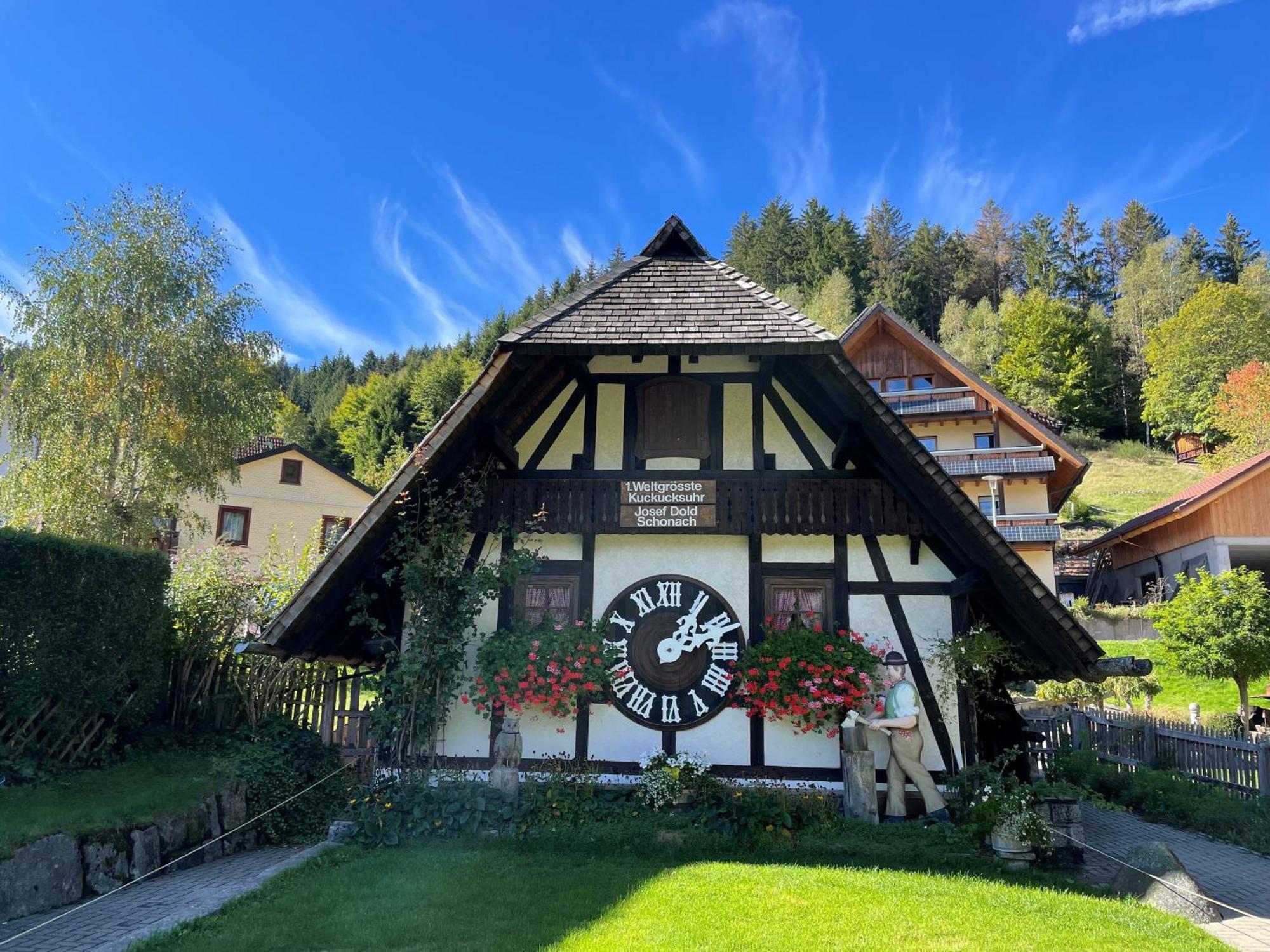 Schwarzwald Panorama Bad Wildbad