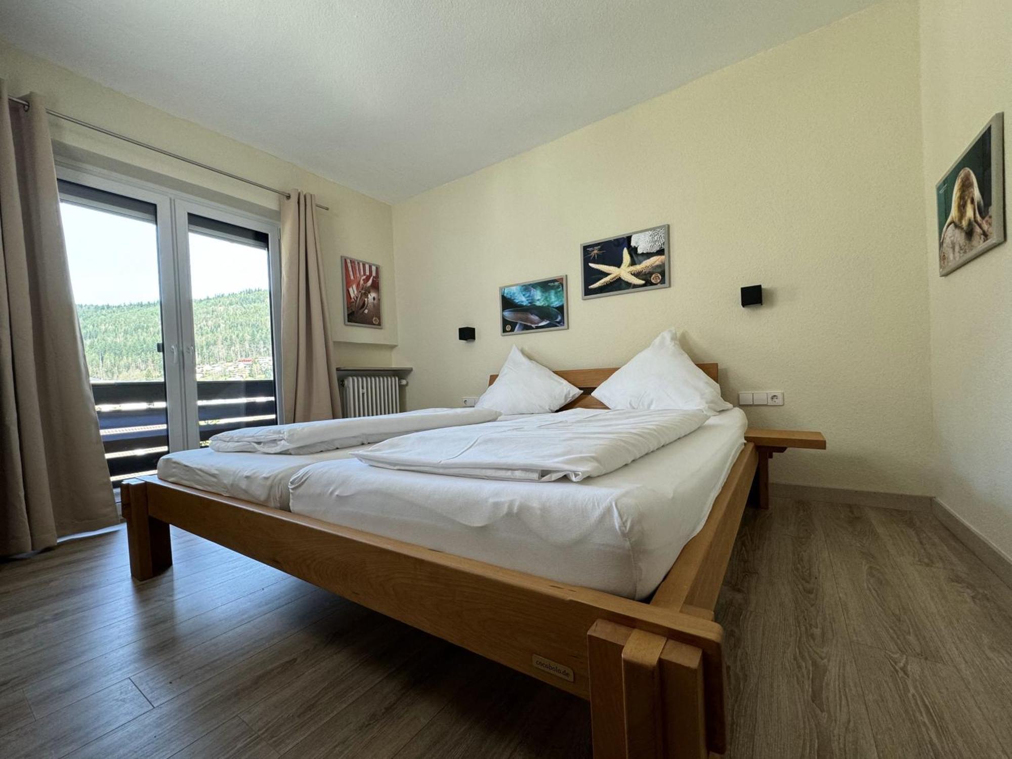 Schwarzwald Panorama Apartment 3*
