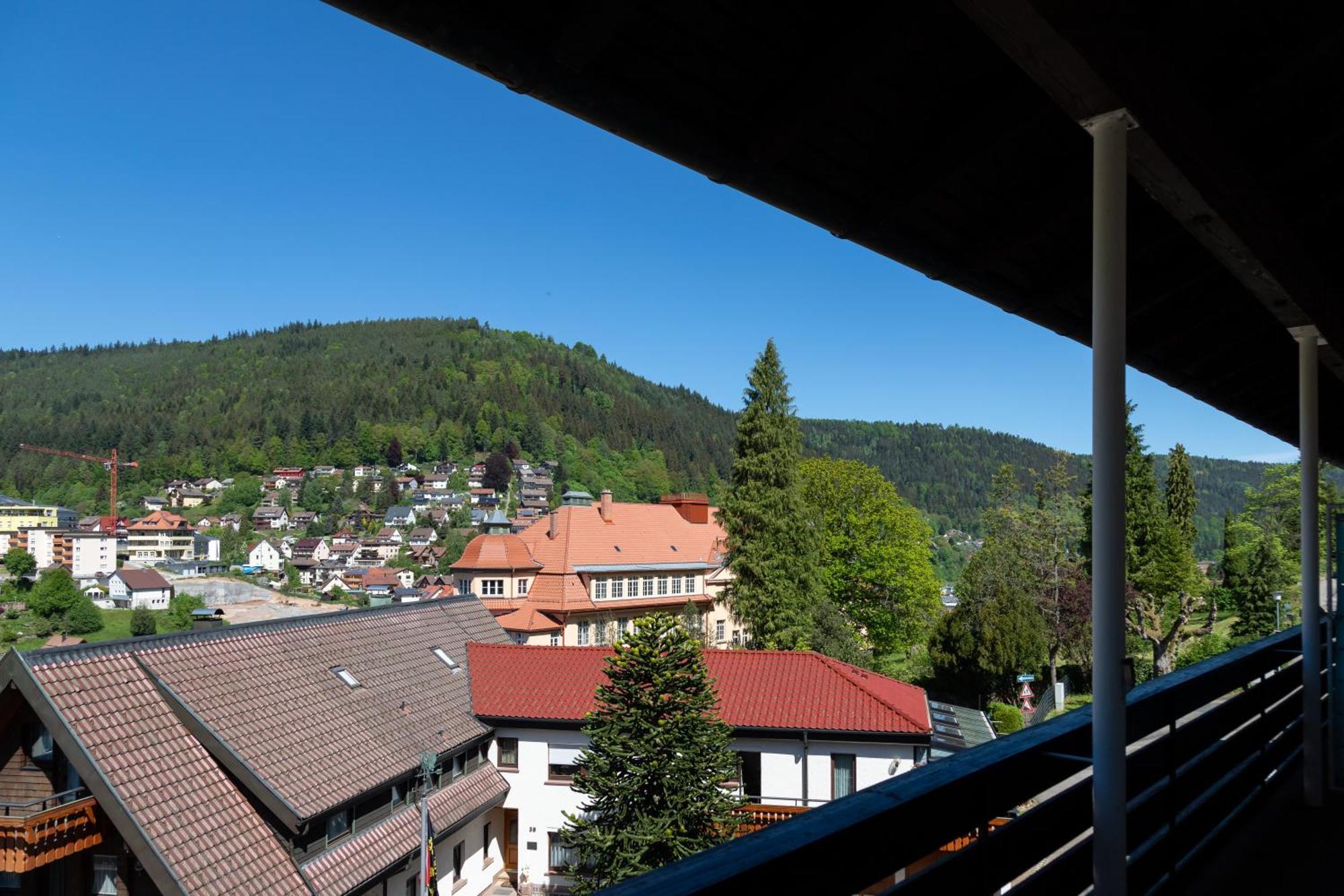 Schwarzwald Panorama Apartment Bad Wildbad