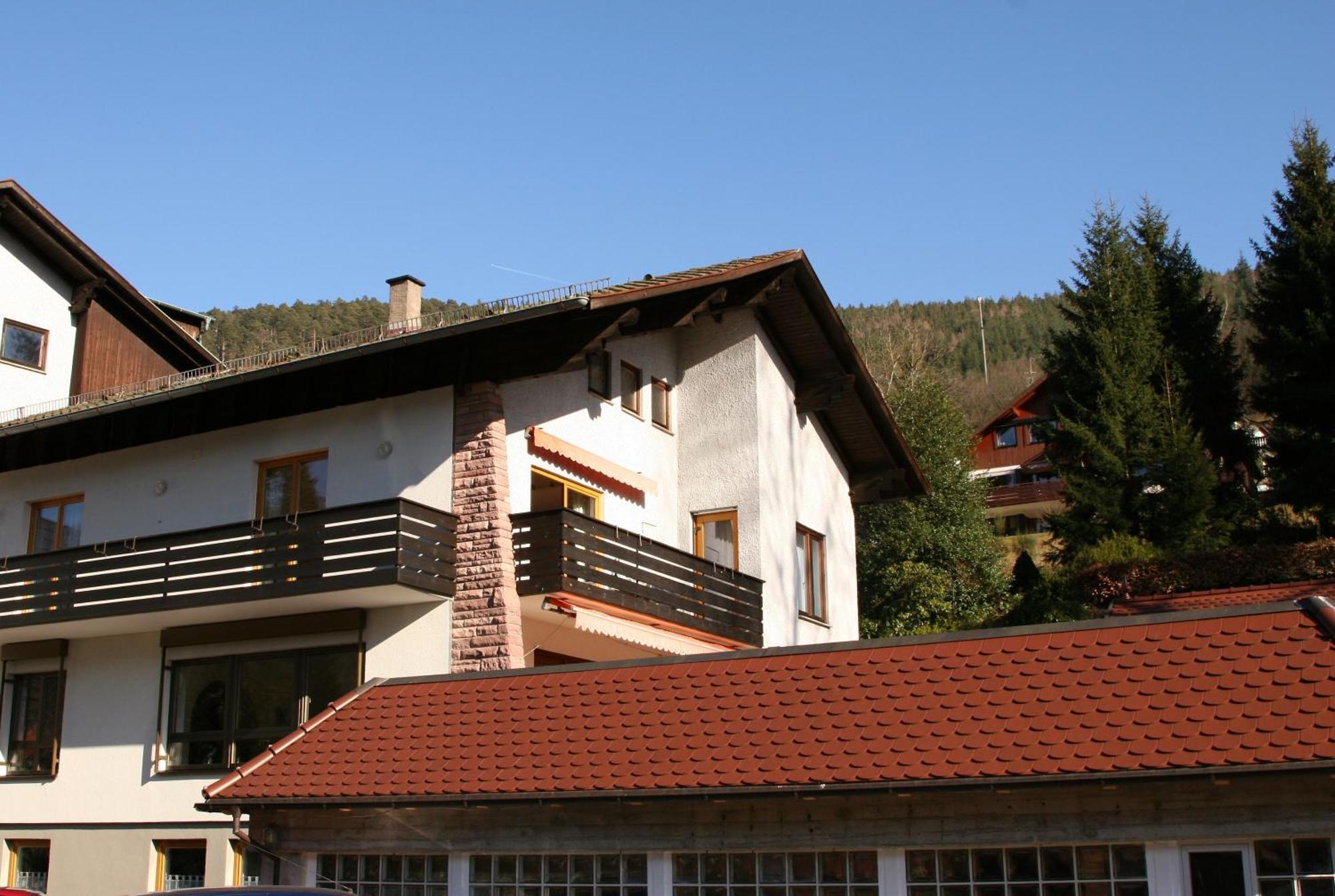 Schwarzwald Panorama